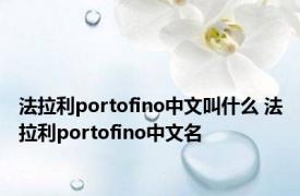 法拉利portofino中文叫什么 法拉利portofino中文名