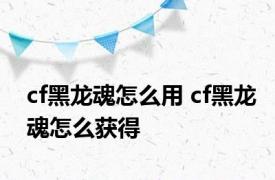 cf黑龙魂怎么用 cf黑龙魂怎么获得