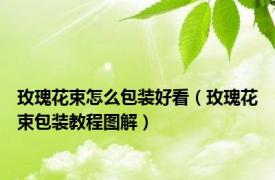 玫瑰花束怎么包装好看（玫瑰花束包装教程图解）