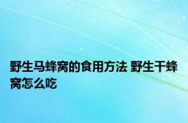 野生马蜂窝的食用方法 野生干蜂窝怎么吃