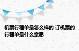 机票行程单是怎么样的 订机票的行程单是什么意思