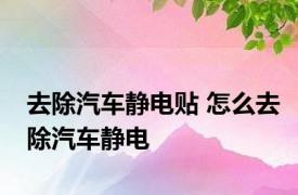 去除汽车静电贴 怎么去除汽车静电