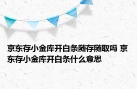 京东存小金库开白条随存随取吗 京东存小金库开白条什么意思