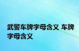 武警车牌字母含义 车牌字母含义