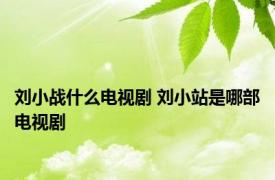 刘小战什么电视剧 刘小站是哪部电视剧