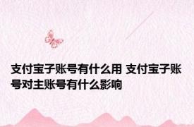 支付宝子账号有什么用 支付宝子账号对主账号有什么影响