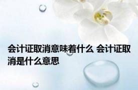 会计证取消意味着什么 会计证取消是什么意思