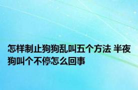 怎样制止狗狗乱叫五个方法 半夜狗叫个不停怎么回事