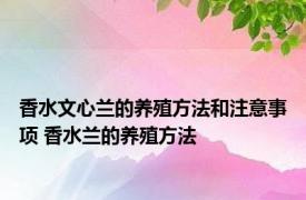 香水文心兰的养殖方法和注意事项 香水兰的养殖方法