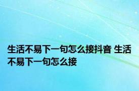 生活不易下一句怎么接抖音 生活不易下一句怎么接