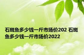 石斑鱼多少钱一斤市场价202 石斑鱼多少钱一斤市场价2022