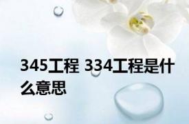 345工程 334工程是什么意思