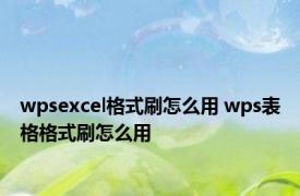 wpsexcel格式刷怎么用 wps表格格式刷怎么用