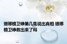 琅琊榜卫峥第几集说出真相 琅琊榜卫峥救出来了吗