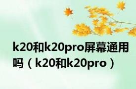 k20和k20pro屏幕通用吗（k20和k20pro）