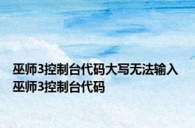 巫师3控制台代码大写无法输入 巫师3控制台代码