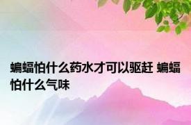 蝙蝠怕什么药水才可以驱赶 蝙蝠怕什么气味