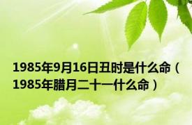 1985年9月16日丑时是什么命（1985年腊月二十一什么命）