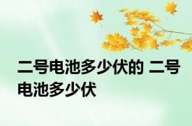 二号电池多少伏的 二号电池多少伏