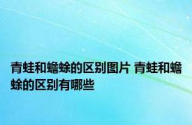 青蛙和蟾蜍的区别图片 青蛙和蟾蜍的区别有哪些