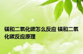 镁和二氧化碳怎么反应 镁和二氧化碳反应原理