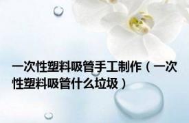 一次性塑料吸管手工制作（一次性塑料吸管什么垃圾）