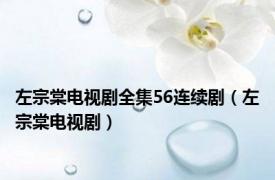 左宗棠电视剧全集56连续剧（左宗棠电视剧）