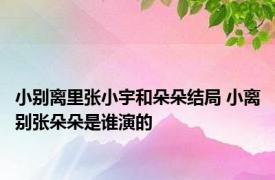 小别离里张小宇和朵朵结局 小离别张朵朵是谁演的