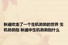 秋魂吹走了一个生机勃勃的世界 生机勃勃指 秋魂中生机勃勃指什么