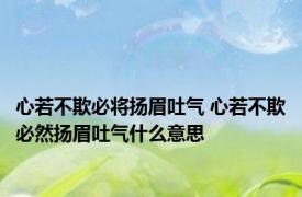 心若不欺必将扬眉吐气 心若不欺必然扬眉吐气什么意思