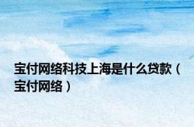 宝付网络科技上海是什么贷款（宝付网络）