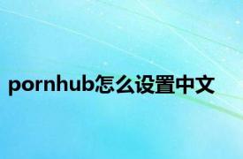 pornhub怎么设置中文