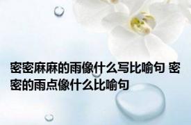 密密麻麻的雨像什么写比喻句 密密的雨点像什么比喻句