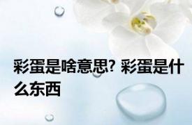 彩蛋是啥意思? 彩蛋是什么东西