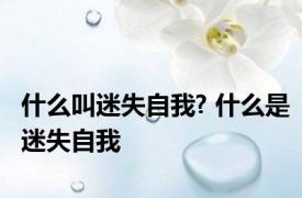 什么叫迷失自我? 什么是迷失自我