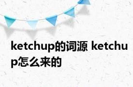 ketchup的词源 ketchup怎么来的