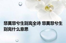 悲莫悲兮生别离全诗 悲莫悲兮生别离什么意思