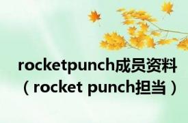 rocketpunch成员资料（rocket punch担当）