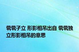 茕茕孑立 形影相吊出自 茕茕独立形影相吊的意思