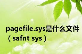 pagefile.sys是什么文件（safnt sys）