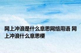 网上冲浪是什么意思网络用语 网上冲浪什么意思梗