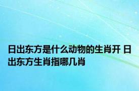 日出东方是什么动物的生肖开 日出东方生肖指哪几肖