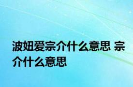 波妞爱宗介什么意思 宗介什么意思