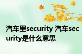 汽车里security 汽车security是什么意思