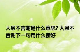 大恩不言谢是什么意思? 大恩不言谢下一句用什么接好