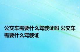 公交车需要什么驾驶证吗 公交车需要什么驾驶证