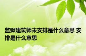 监狱建筑师未安排是什么意思 安排是什么意思