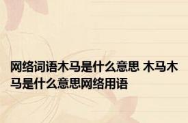 网络词语木马是什么意思 木马木马是什么意思网络用语