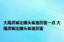 大尾虎鲨比锤头鲨谁厉害一点 大尾虎鲨比锤头鲨谁厉害