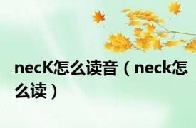 necK怎么读音（neck怎么读）